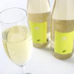 釧路福司 スパークリング清酒 500ml2本入