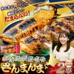 釧路名物 さんまんま 2本セット 魚