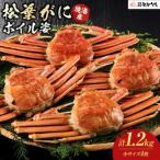 境港産松葉がにボイル姿 計1.2kg
