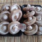 fu.... налог Кусиро город город Hokkaido звук другой производство . пол jumbo сырой ....280g×2 упаковка ........ .F4F-0800