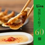 ふるさと納税 南九州市 かごしま黒豚しそ餃子60個(タレ付)