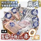 ふるさと納税 佐伯市 老舗海産物問屋 選りすぐり 干物 セット 赤 (9種)