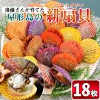 緋扇貝 計18枚