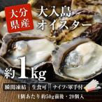 ふるさと納税 佐伯市 大入島 バージン オイスター 牡蠣 約1kg (1個約50g前後・20個入)生食可 冷凍