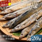 糠さんま20尾入 魚 F4F-1856