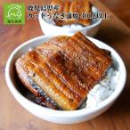 ふるさと納税 南九州市 鹿児島県産カットうなぎ蒲焼300g以上