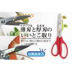 雑誌LDKに掲載 R5.5 キッチンばさみ