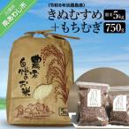 令和8年度 淡路島 南あわじ産の精米 きぬむすめ