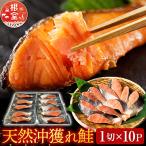 天然沖獲れ鮭1切×10P 約1kg