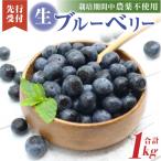 fu.... налог . изображение город иметь машина удобрение ... включено .. культивирование сделал [ голубика ]1kg культивирование период средний пестициды не использование местного производства _HA0273