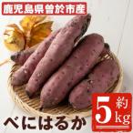 紅はるか5kg