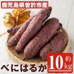 ふるさと納税 曽於市 鹿児島県産　紅はるか10kg