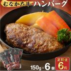 むなかた牛ハンバーグ6個セット6回定期便