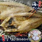 海の恵み 干物詰め合わせB