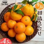 1自然塾 季節の柑橘詰合せ
