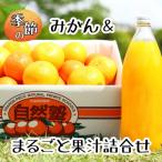 4自然塾 みかん&まるごと果汁詰合せ