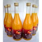 無添加 果汁100% マルチ栽培みかんジュース 720ml×6本