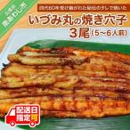 秘伝のたれで炭火焼 焼きあなご 3尾