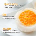 ふるさと納税 名取市 みかん丸ごと1個入った　甘仙堂のみかん大福10個入