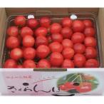 fu.... налог сверху гора город вишня ( Sato .)500g рука ..0112-2610