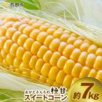 緒方さんちのスイートコーン イエロー