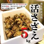 fu.... налог море . блок [..... налог ][ на данный момент поступление последовательность последовательный отправка средний!] остров ......5kg свежий BBQ