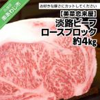 ロースブロック 約4kg