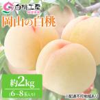 桃 白桃 2kg