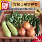 宮殿の厨房野菜おまかせ5品 セット