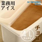 ふるさと納税 室戸市 チョコレート4L 業務用アイスクリーム