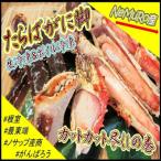 たらばがに脚 生冷凍600g ボイル冷凍300g
