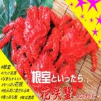 ふるさと納税 根室市 【年内配送可