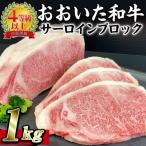 おおいた 和牛 サーロイン ブロック 1kg