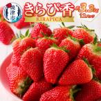 ふるさと納税 焼津市 いちご 静岡 限定 「 きらぴ香 」計約3.3Kg 12パック(a30-191)
