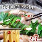 鶏家特選もつ鍋セット2~3人前 セット