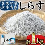 米水津産 しらす 計1kg