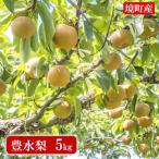 ショッピングふるさと納税 梨 ふるさと納税 境町 【豊水】さかいの豊水梨 5kg (限定230箱)