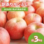 ふるさと納税 福島市 りんご「サンふじ」家庭用 約3kg【2026年1月より発送】 No.2064