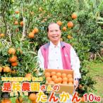 徳之島直島果樹園さんのてぃだ 太陽 100%たんかん 10kg