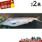 釧路産定置網活じめ時知らず2本 切身 鮭