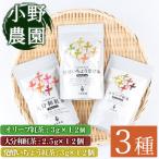 紅茶 ティーバッグ 3種セット オリーブ紅茶