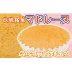マドレーヌ 10個入り