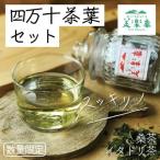 すっきり爽やか 四万十茶葉セット イタドリ茶