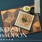 KOZAinoOBON ポリゴンAV6