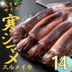 スルメイカ 丸ごと4本 約520g