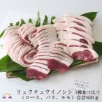 ~THEジビエ 自然を食べる ~リュウキュウイノシシ