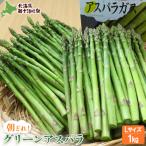 fu.... налог новый 10 Цу река блок [ предшествующий прием ] зеленый aspala(L размер 1kg)[1201502]