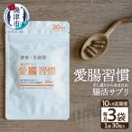 定期便 10ヶ月 腸活 サプリ 愛腸習慣 酵素