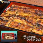 嘉永元年創業 本部うなぎ屋 鰻の蒲焼きと白焼きセット 計3尾