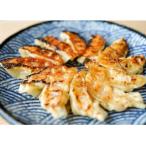 ショッピングふるさと納税 玉ねぎ ふるさと納税 南あわじ市 淡路島玉ねぎ餃子20個入り×5